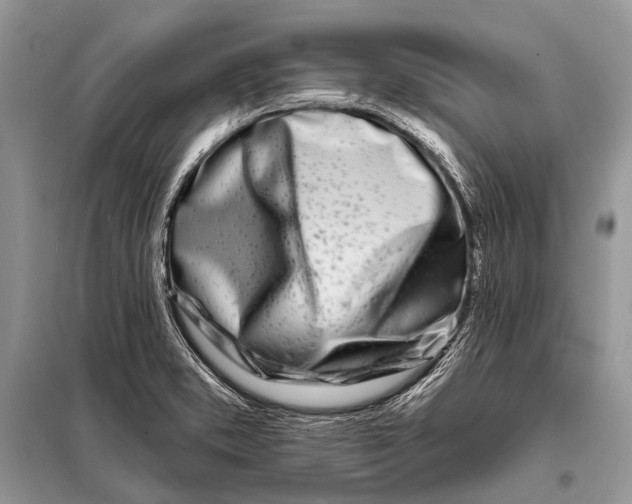 X0000098031373200804181218