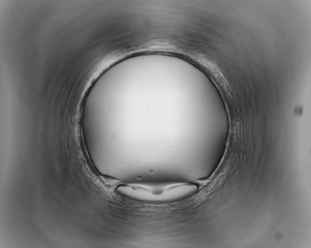 X0000098031374200804181218