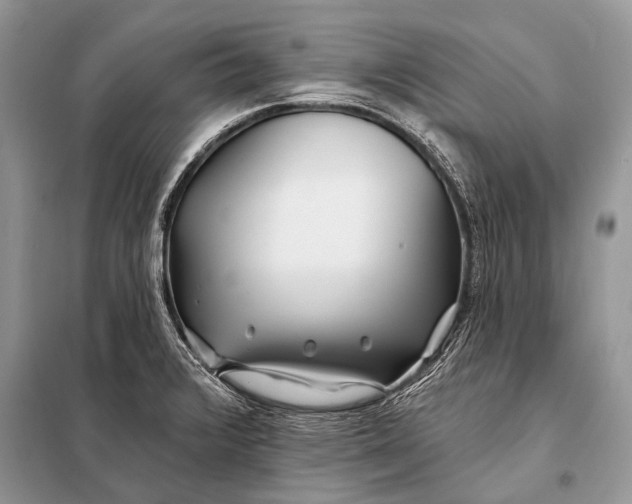 X0000098031376200804181218