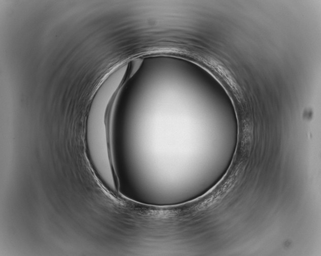 X0000098031377200804181218