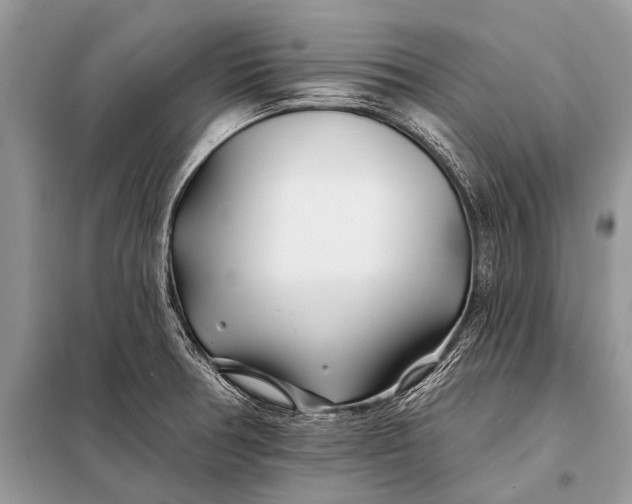 X0000098031378200804181218