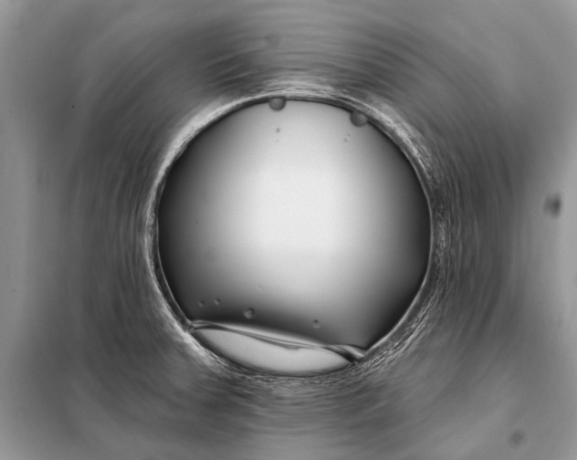 X0000098031379200804181218