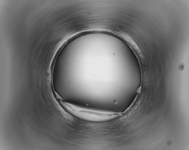 X0000098031380200804181218