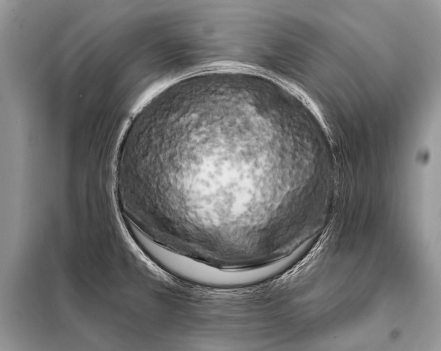 X0000098031381200804181218