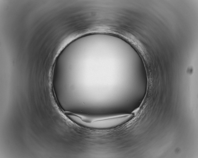 X0000098031382200804181218