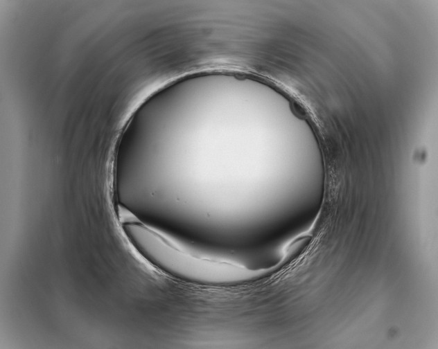 X0000098031383200804181218