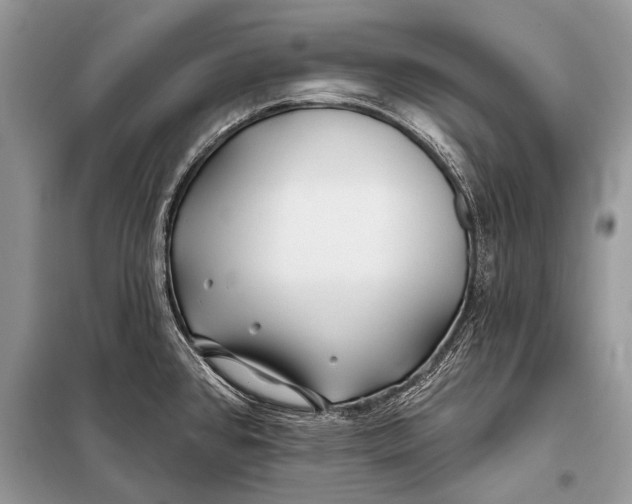 X0000098031384200804181218