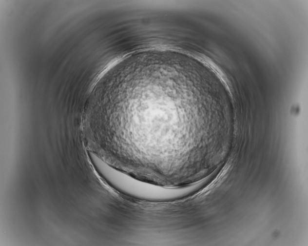 X0000098031385200804181218