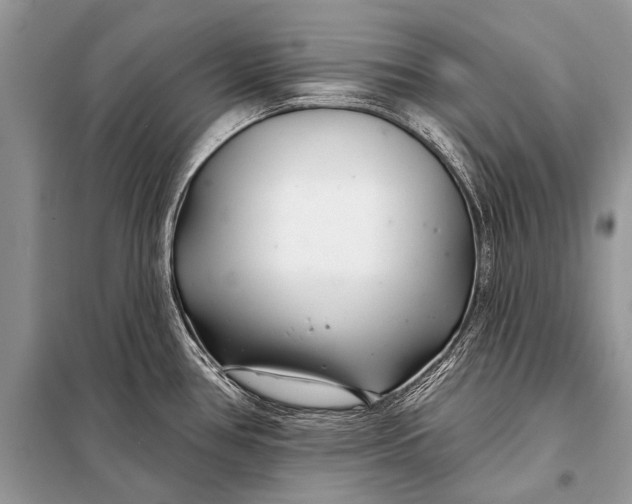 X0000098031386200804181218