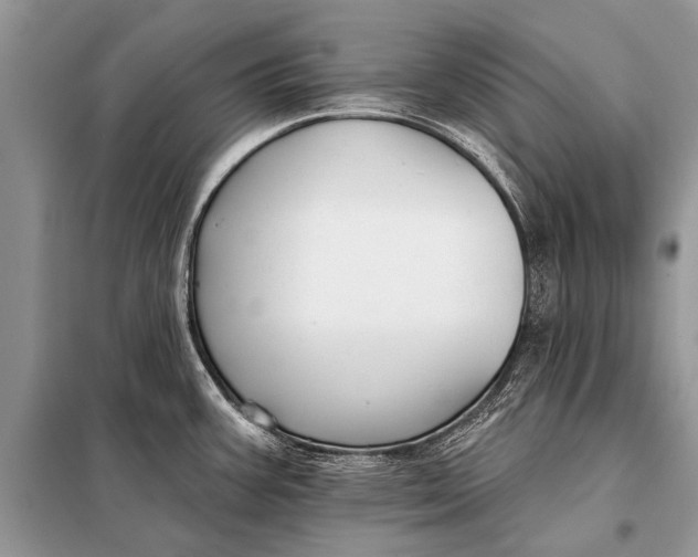 X0000098031387200804181218