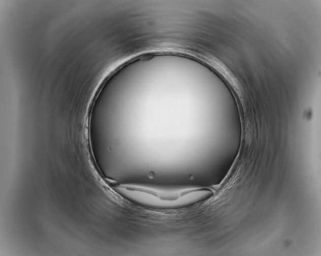 X0000098031388200804181218