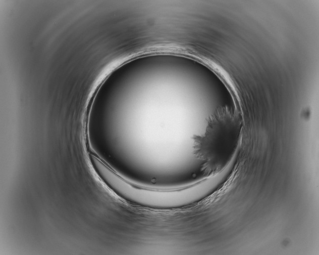 X0000098031389200804181218