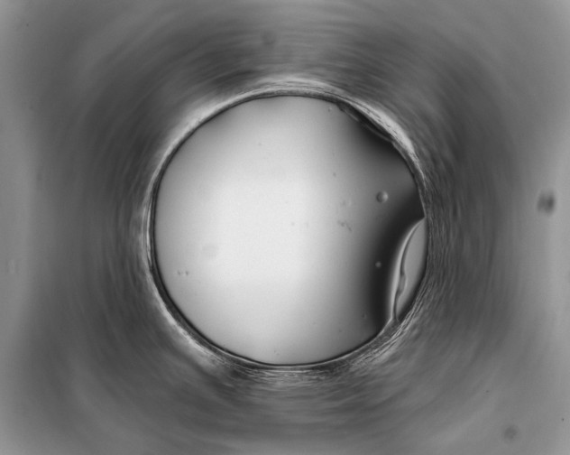 X0000098031391200804181218