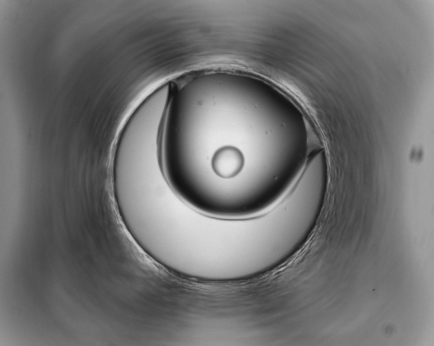 X0000098031392200804181218