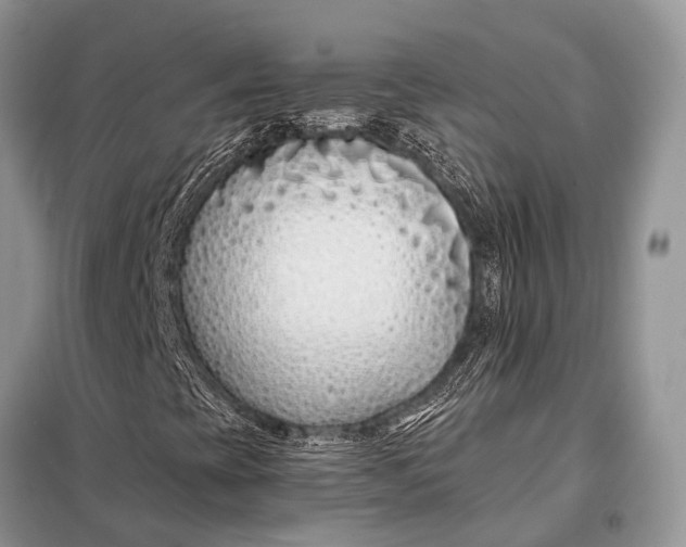 X0000098031393200804181217