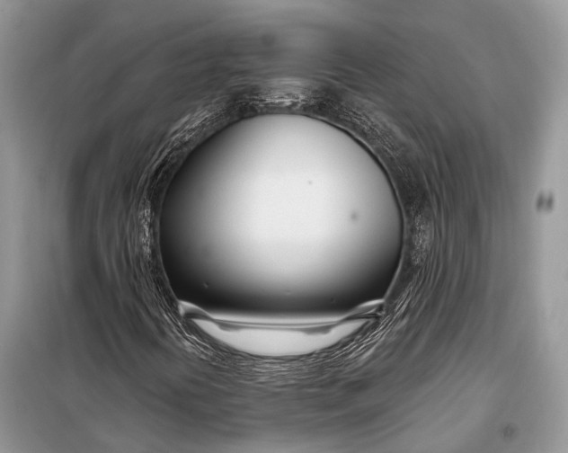 X0000098031394200804181217