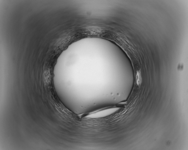 X0000098031395200804181217