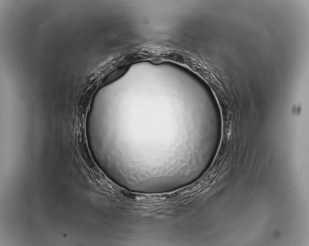 X0000098031397200804181217