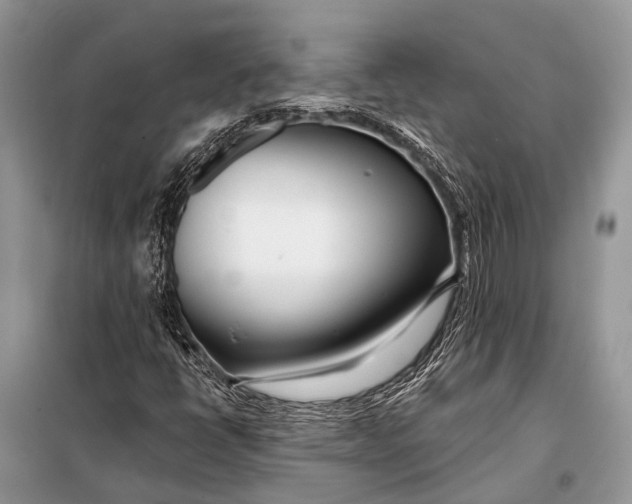 X0000098031398200804181217