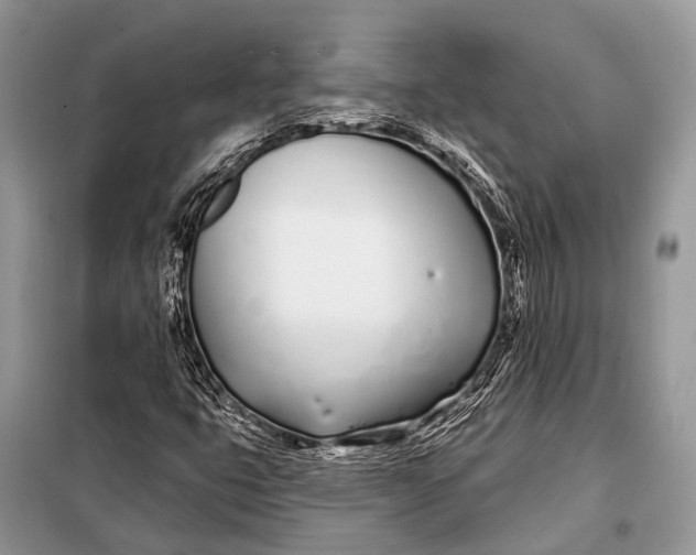 X0000098031399200804181217