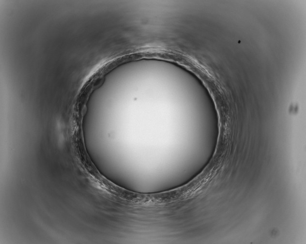 X0000098031400200804181217