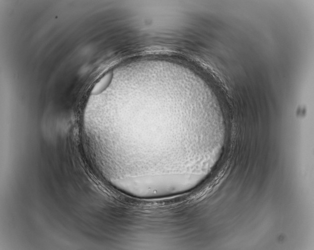 X0000098031401200804181217