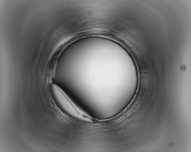 X0000098031402200804181217