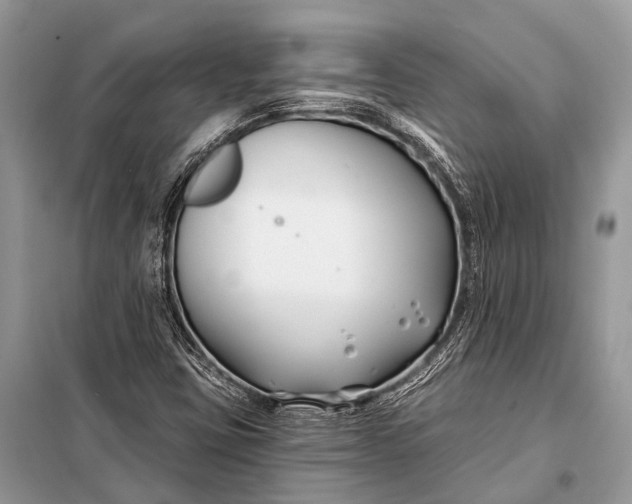 X0000098031403200804181217