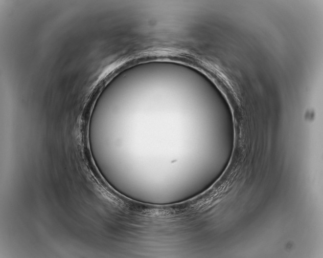 X0000098031404200804181217