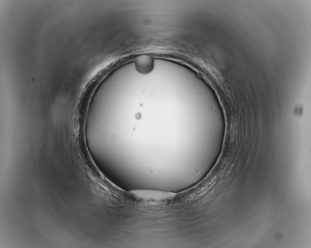 X0000098031406200804181217