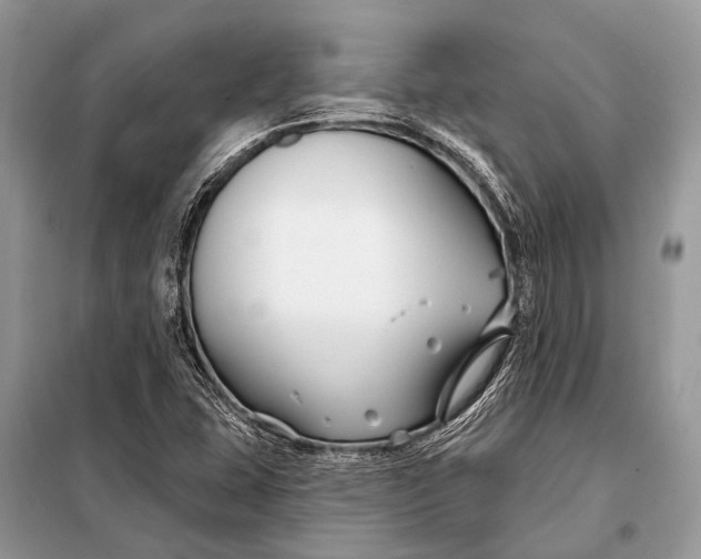 X0000098031407200804181217