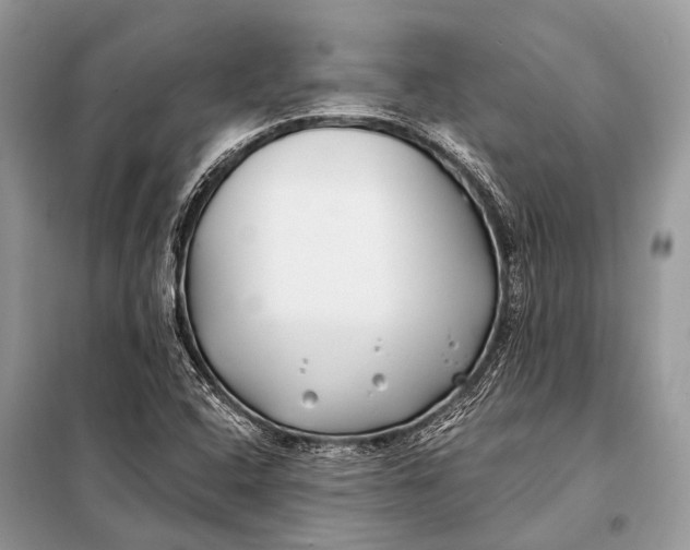 X0000098031408200804181217