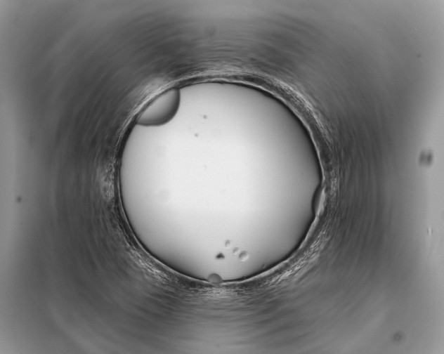 X0000098031409200804181217