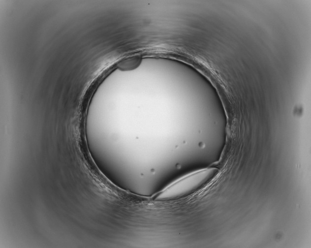 X0000098031410200804181217