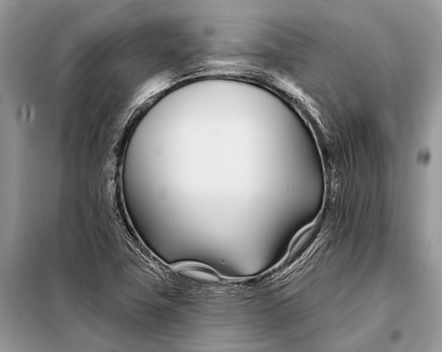 X0000098031411200804181217