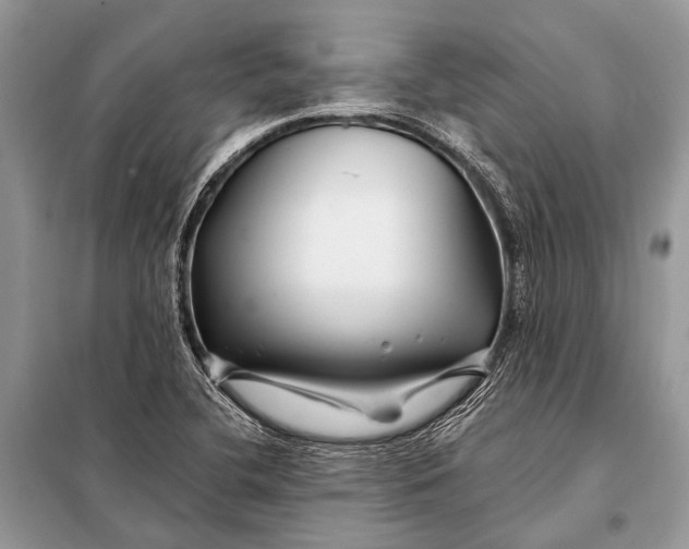 X0000098031412200804181217