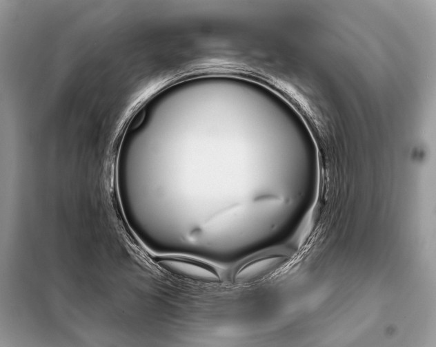 X0000098031413200804181217