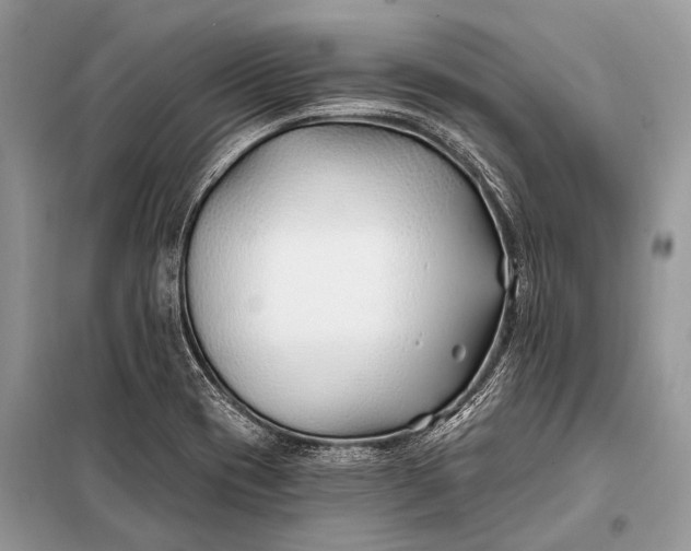 X0000098031417200804181217