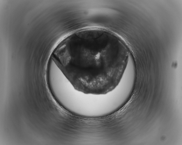 X0000098031418200804181217