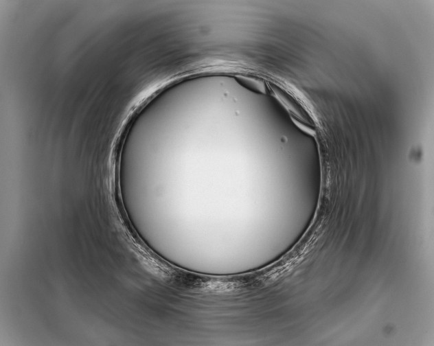 X0000098031419200804181217