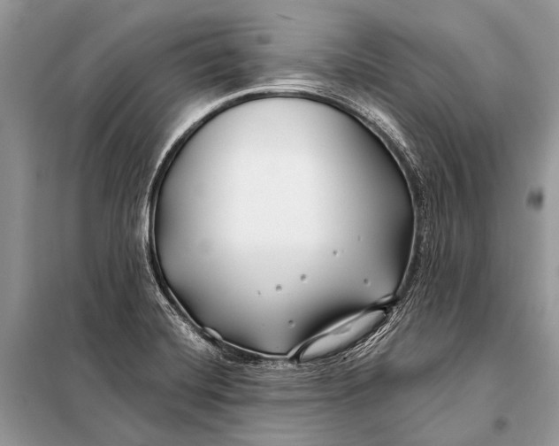 X0000098031420200804181217