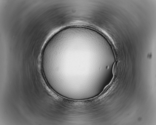 X0000098031421200804181217