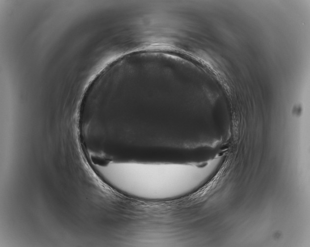 X0000098031422200804181217