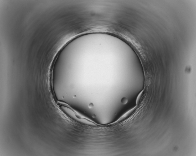 X0000098031423200804181217