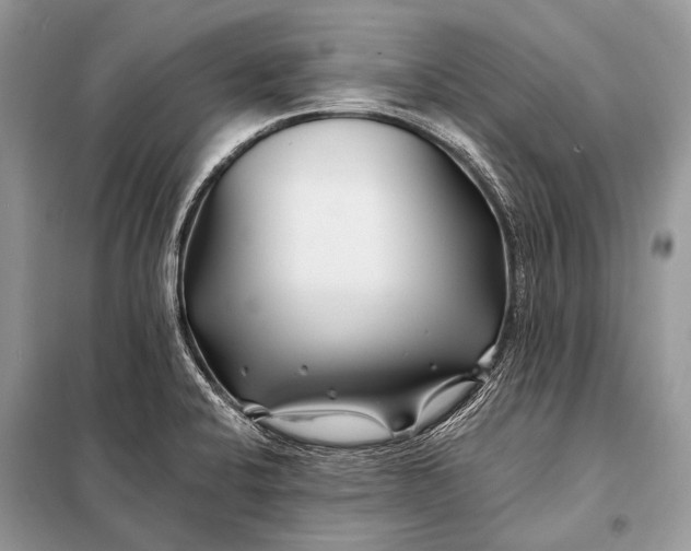 X0000098031424200804181217