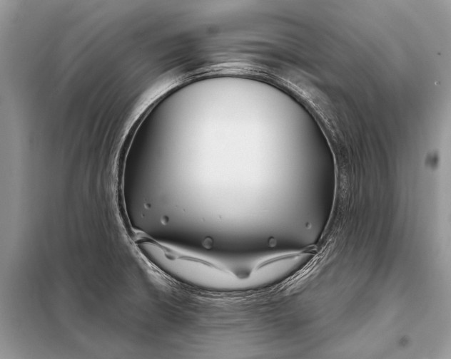 X0000098031426200804181217