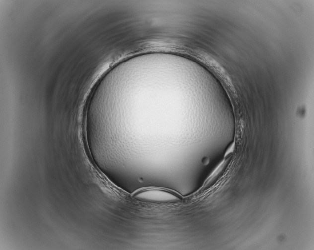 X0000098031427200804181217