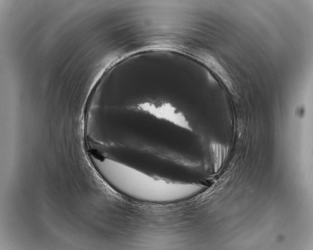 X0000098031428200804181217