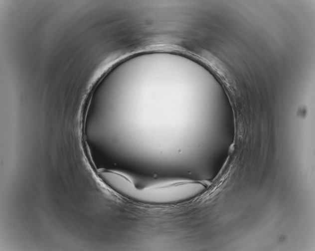 X0000098031430200804181217