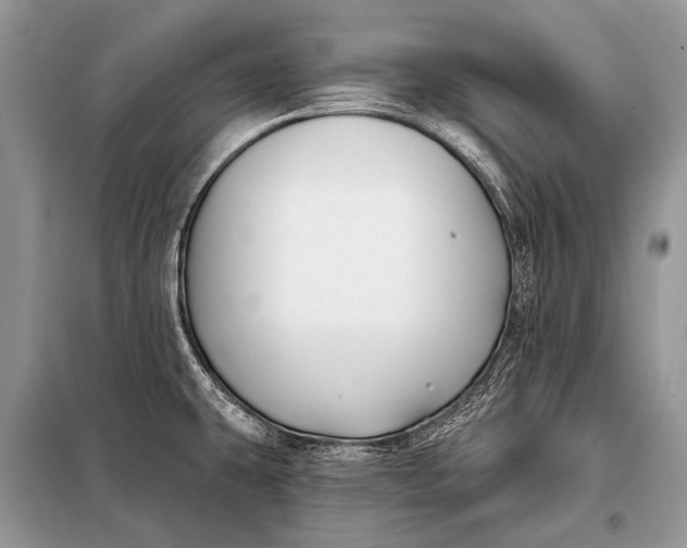 X0000098031431200804181217